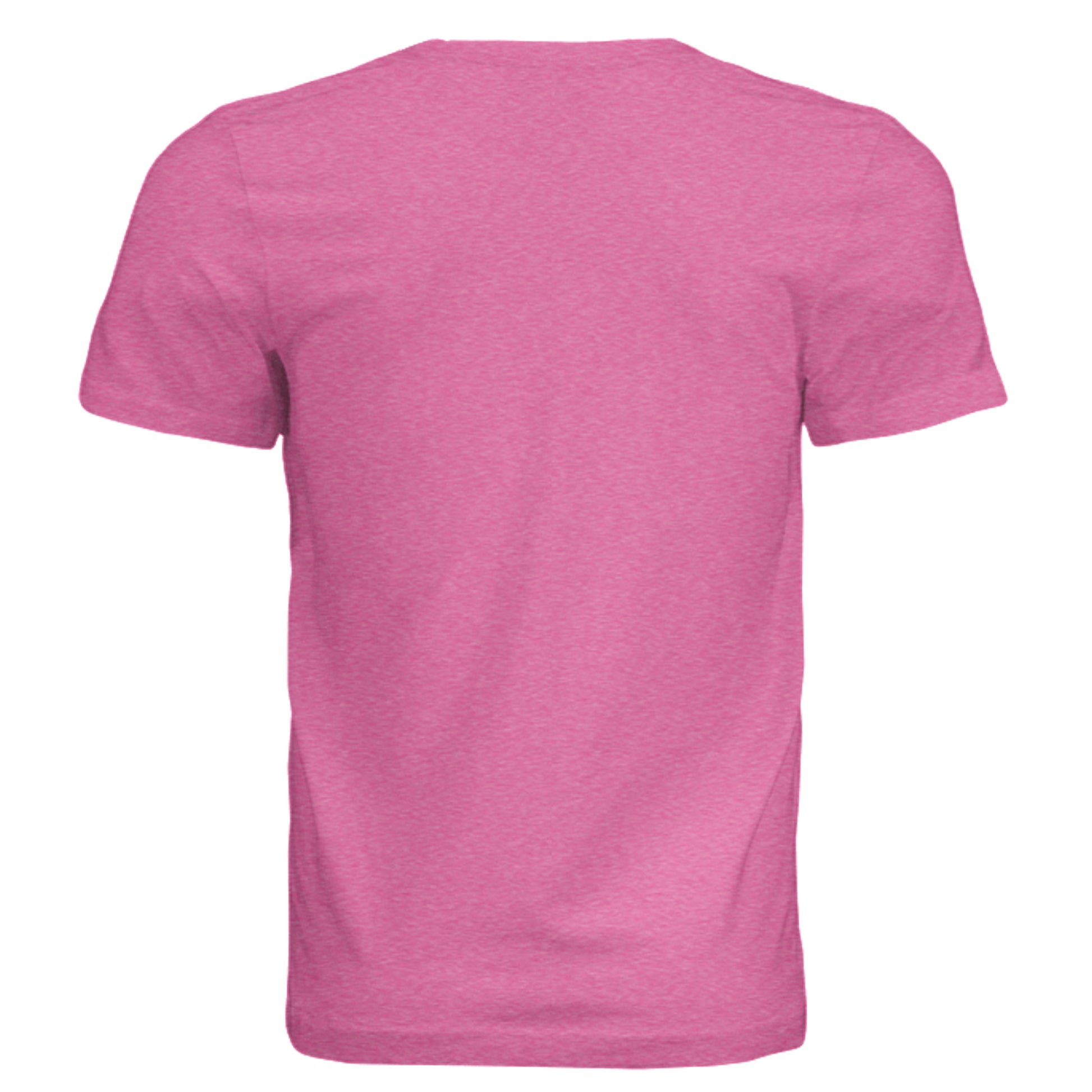Charity Pink Triblend - 3413C - BACK